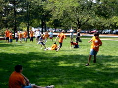 P1000045.JPG