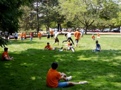 P1000048.JPG